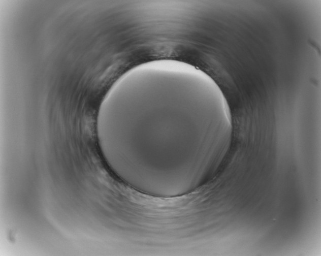X0000102310035200808152052
