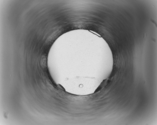X0000102310036200808152052
