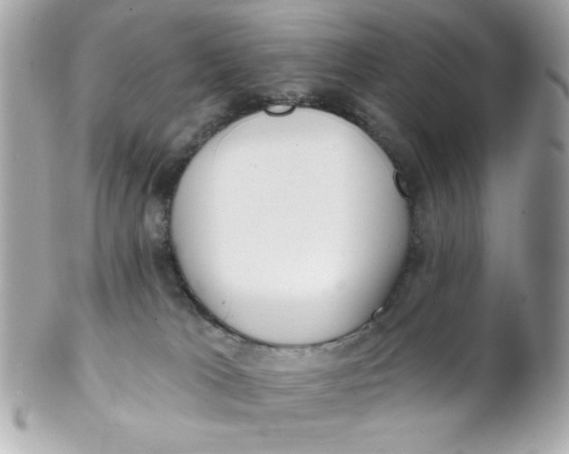 X0000102310037200808152052