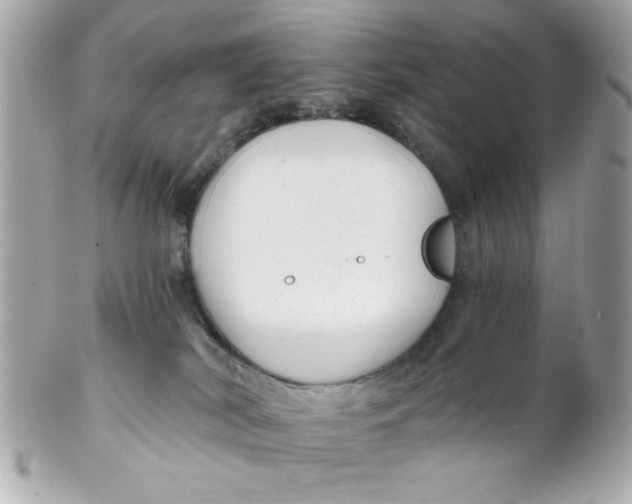 X0000102310038200808152052