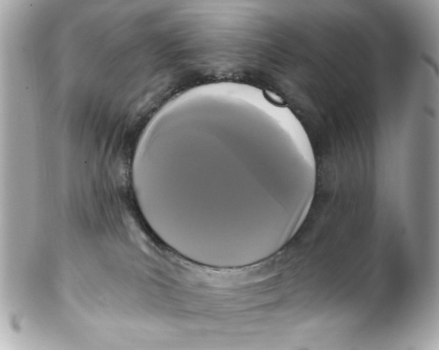 X0000102310039200808152052
