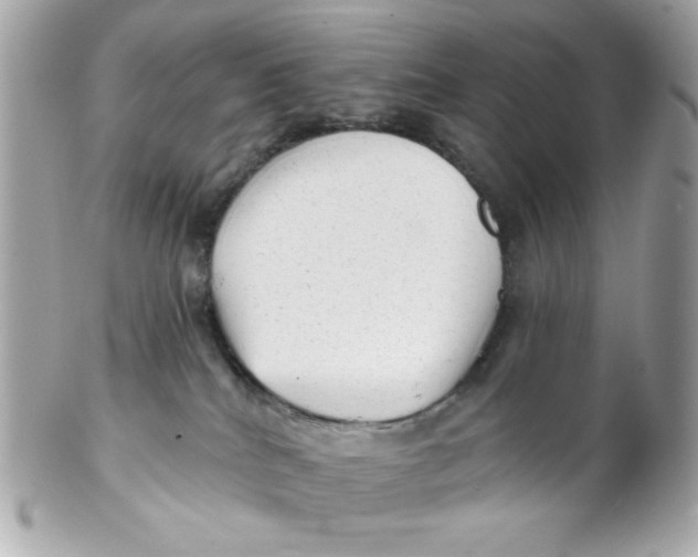 X0000102310040200808152052