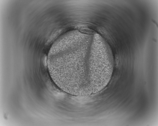 X0000102310041200808152052