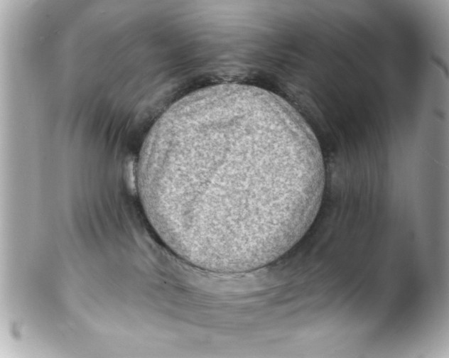 X0000102310042200808152052