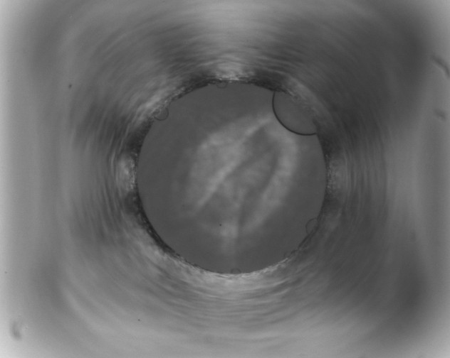 X0000102310043200808152052