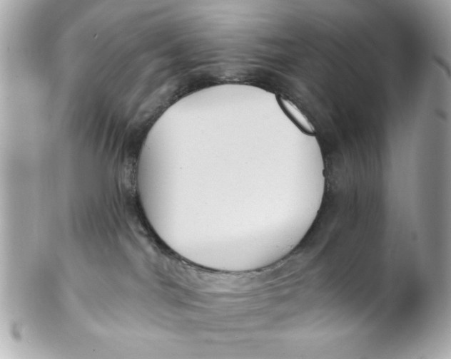 X0000102310044200808152052