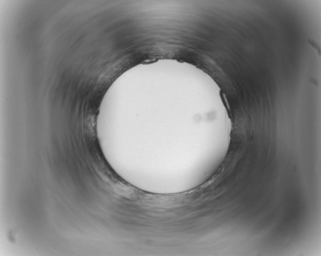 X0000102310045200808152052