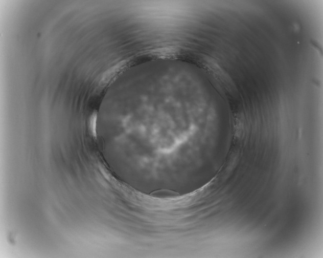 X0000102310047200808152052