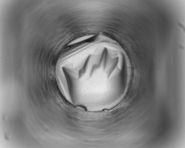 X0000102310048200808152052