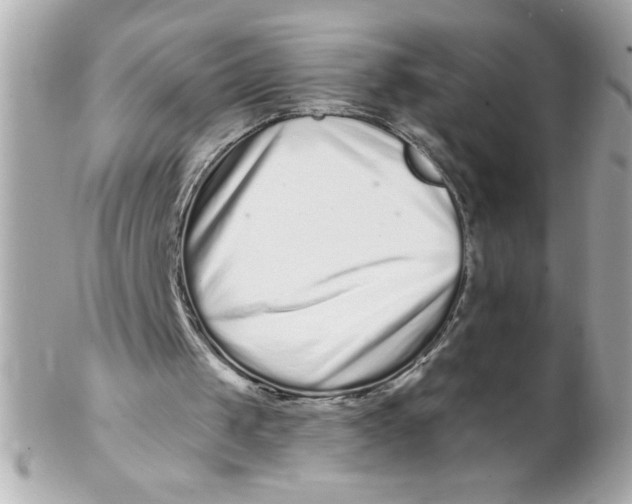 X0000102310049200808152051