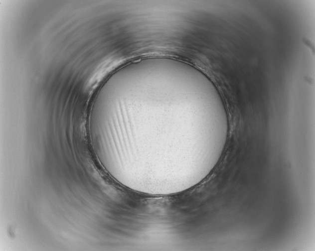 X0000102310050200808152051