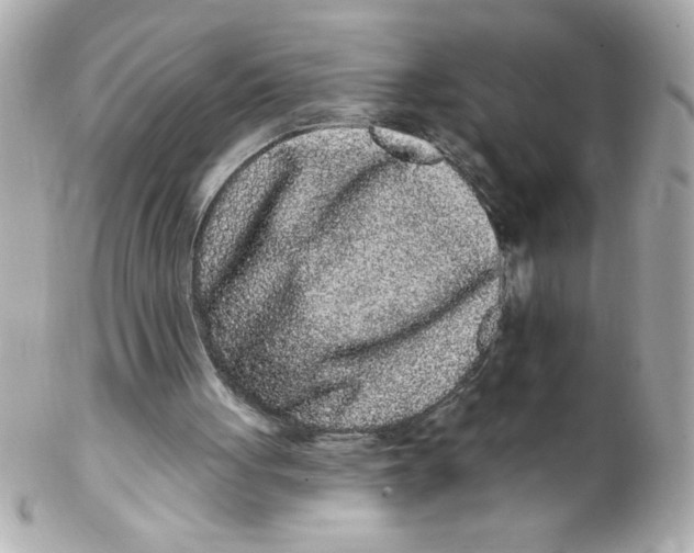 X0000102310051200808152051