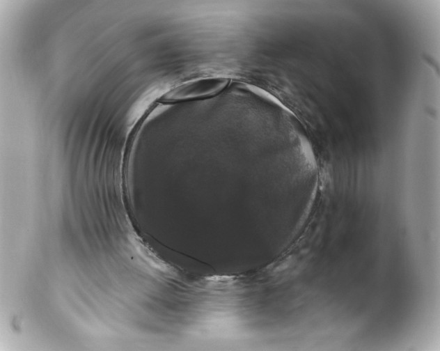 X0000102310052200808152051