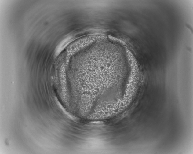 X0000102310053200808152051