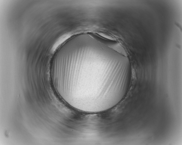 X0000102310054200808152051