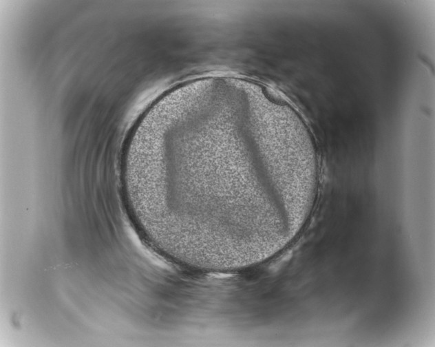 X0000102310055200808152051