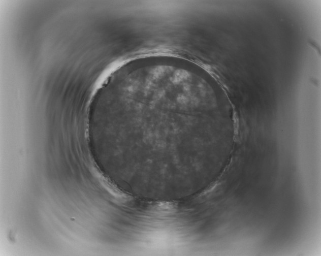 X0000102310056200808152051