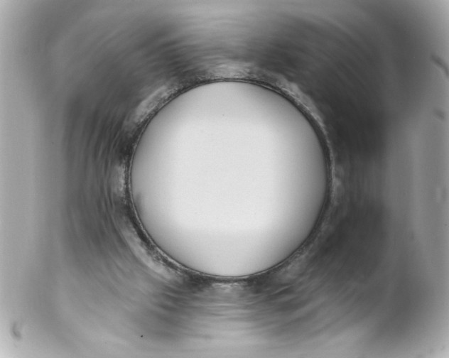 X0000102310057200808152051