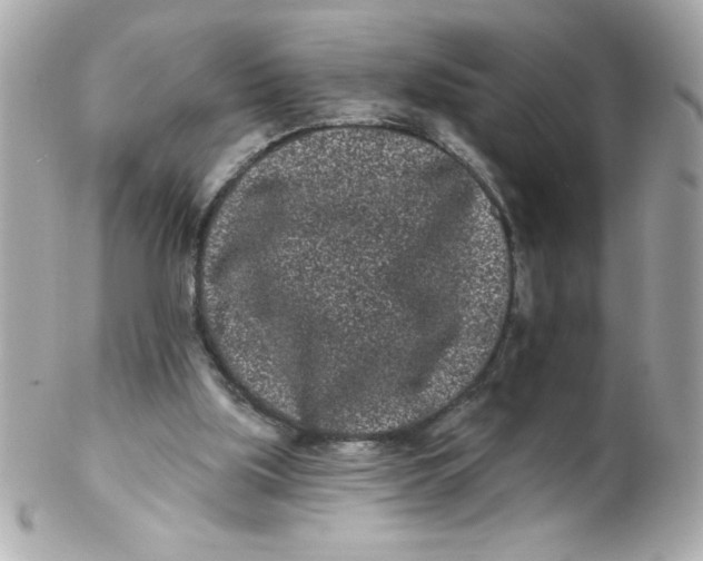 X0000102310059200808152051