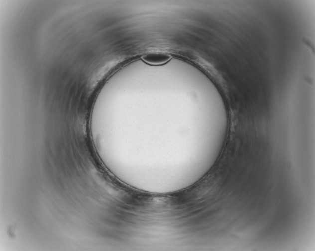 X0000102310060200808152051