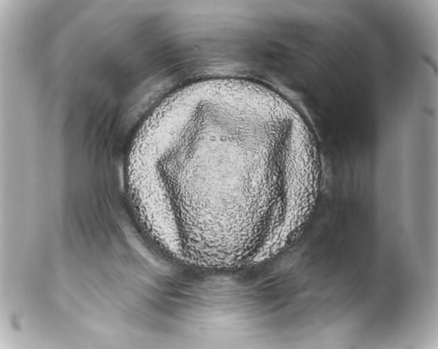 X0000102310061200808152051