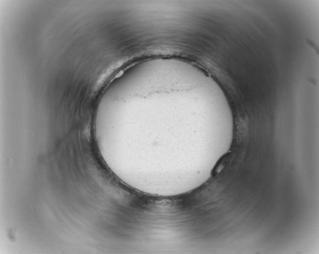 X0000102310064200808152052