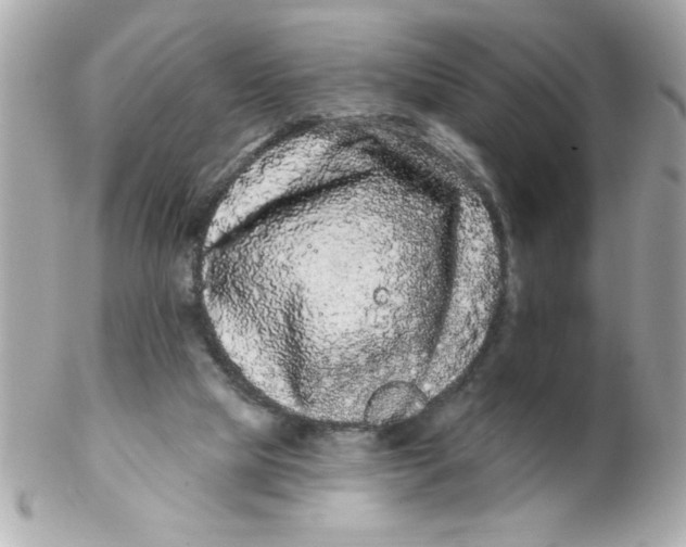 X0000102310065200808152052