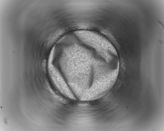 X0000102310066200808152052