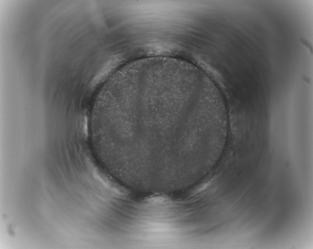 X0000102310067200808152052