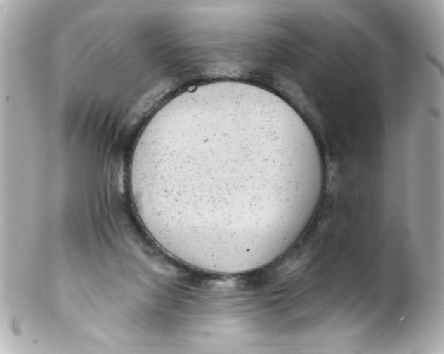 X0000102310068200808152052