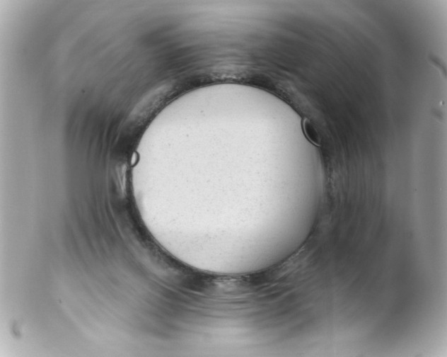 X0000102310070200808152052