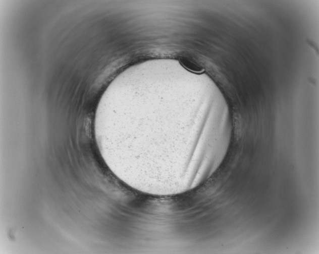 X0000102310071200808152052