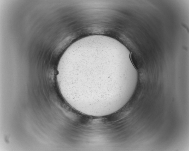 X0000102310072200808152052