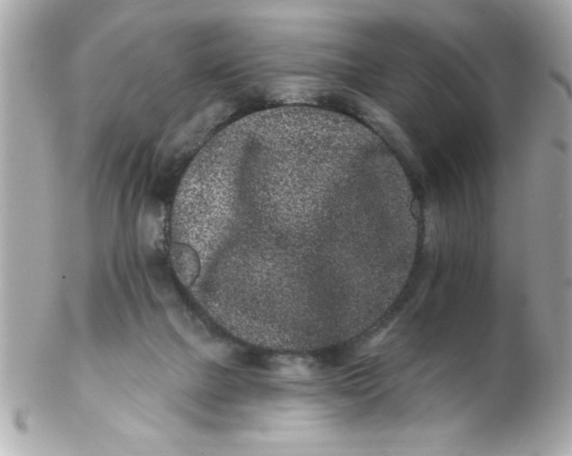X0000102310073200808152052