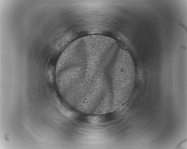 X0000102310074200808152052