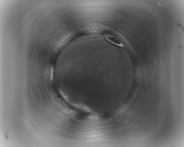 X0000102310076200808152052
