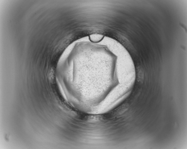 X0000102310077200808152052