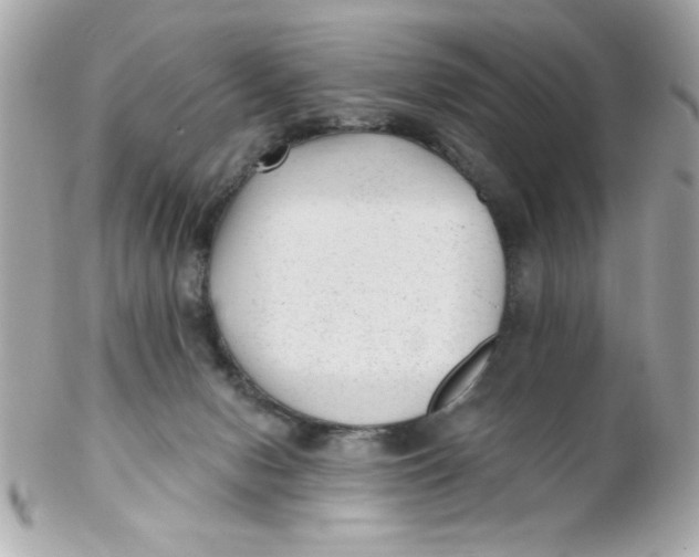 X0000102310078200808152052