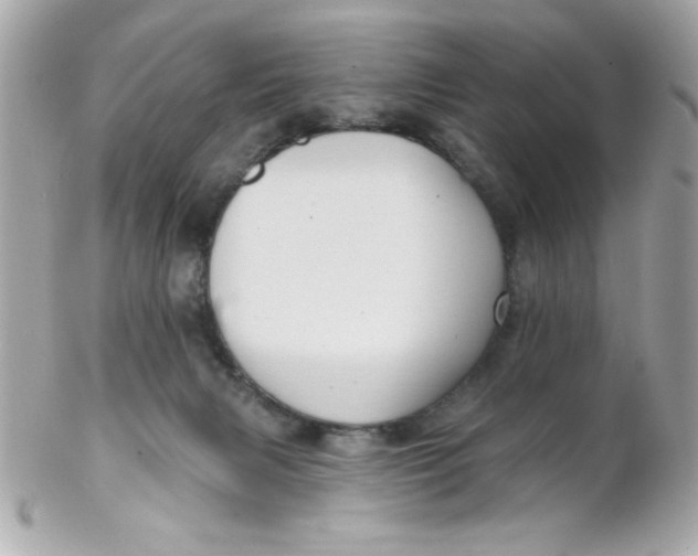 X0000102310079200808152052