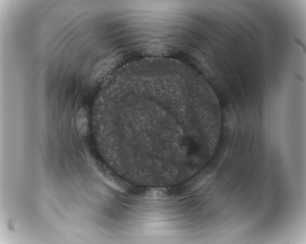 X0000102310080200808152052