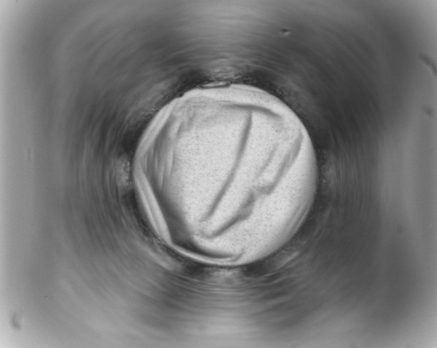 X0000102310081200808152052