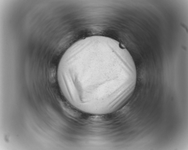X0000102310082200808152052