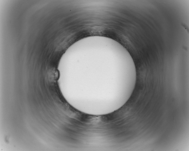 X0000102310083200808152052