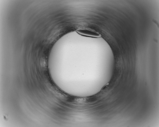 X0000102310084200808152052