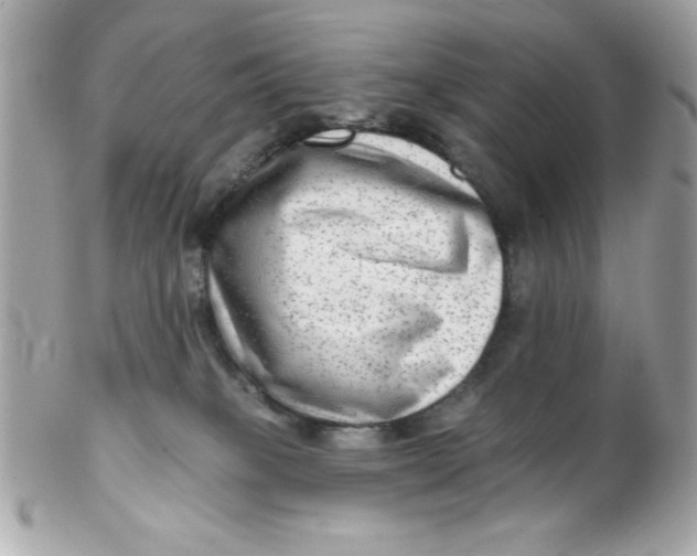 X0000102310085200808152052