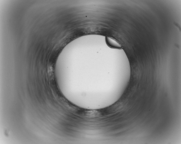 X0000102310087200808152052