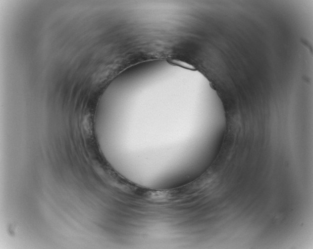 X0000102310088200808152052