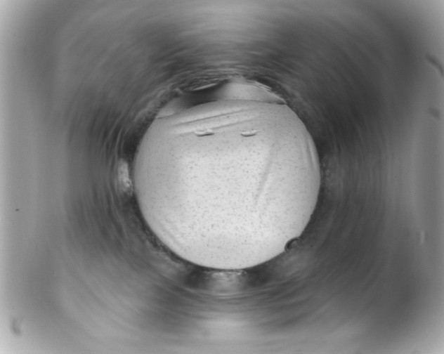 X0000102310089200808152052