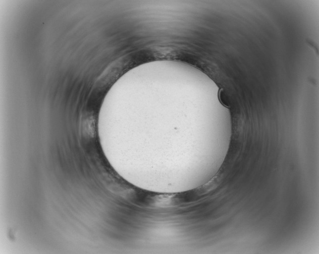 X0000102310090200808152052