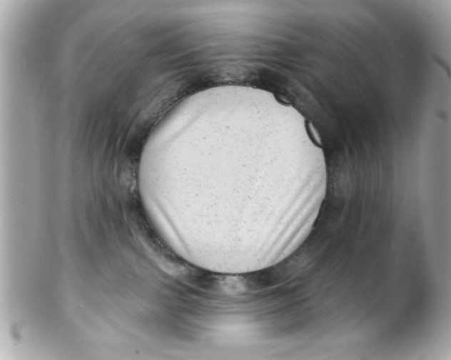 X0000102310091200808152052